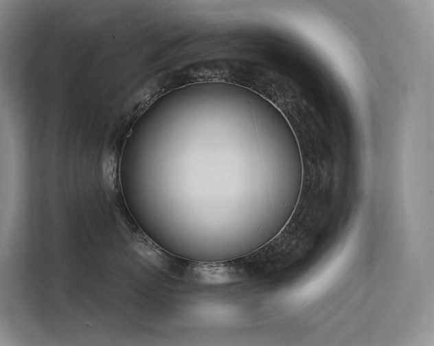 X0000113200767200909101112