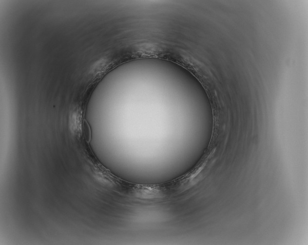 X0000113200768200909101112