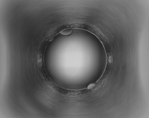 X0000113200771200909101111