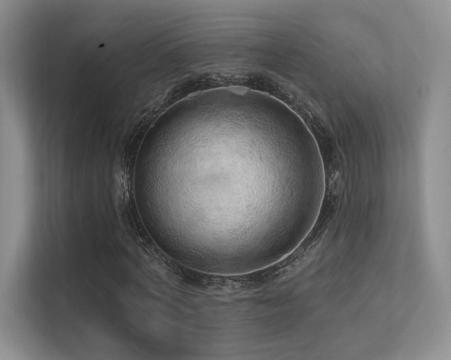 X0000113200772200909101111