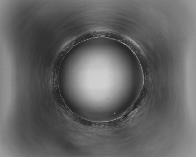 X0000113200775200909101111