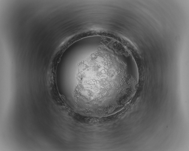 X0000113200776200909101111