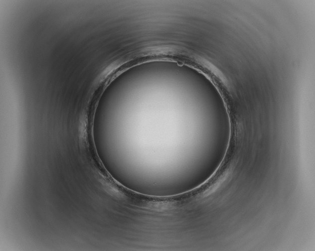 X0000113200778200909101111