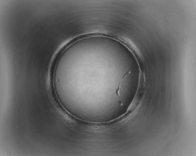 X0000113200780200909101111