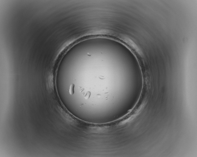 X0000113200781200909101111