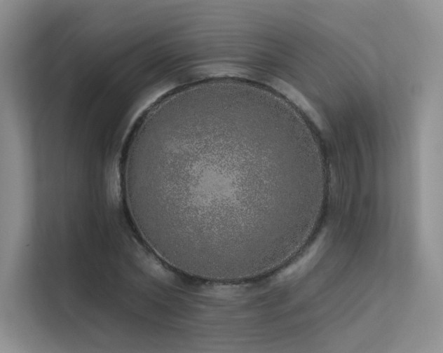 X0000113200782200909101111