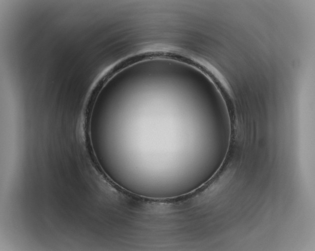 X0000113200783200909101111