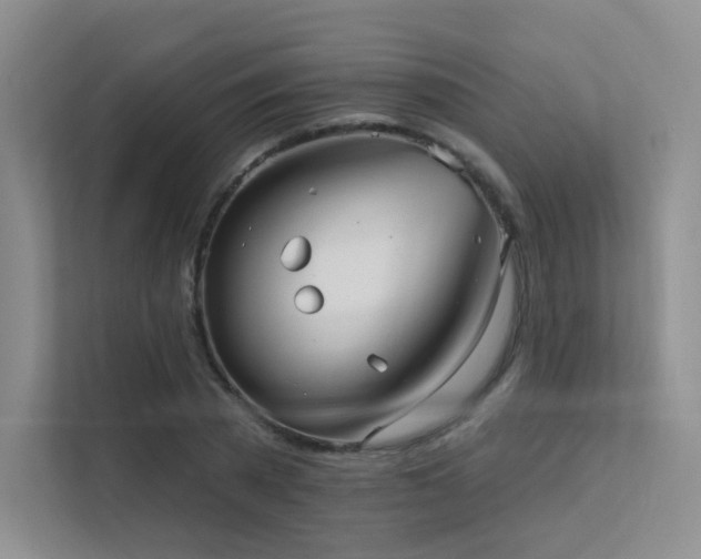 X0000113200785200909101111