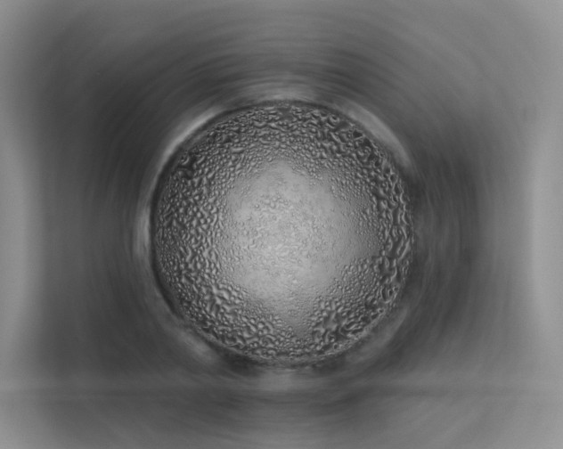 X0000113200790200909101111