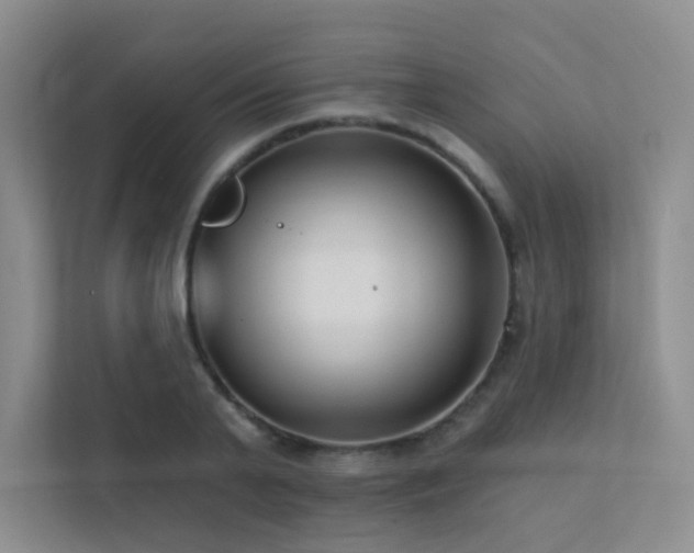 X0000113200791200909101111