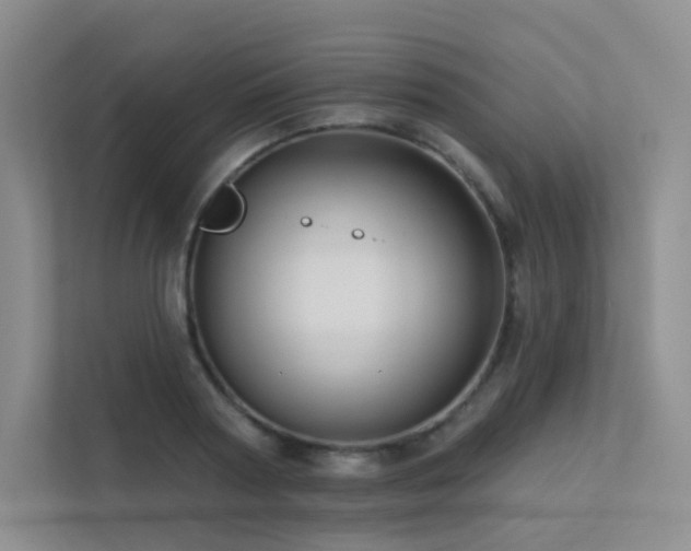 X0000113200794200909101111