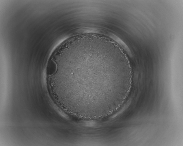 X0000113200798200909101111