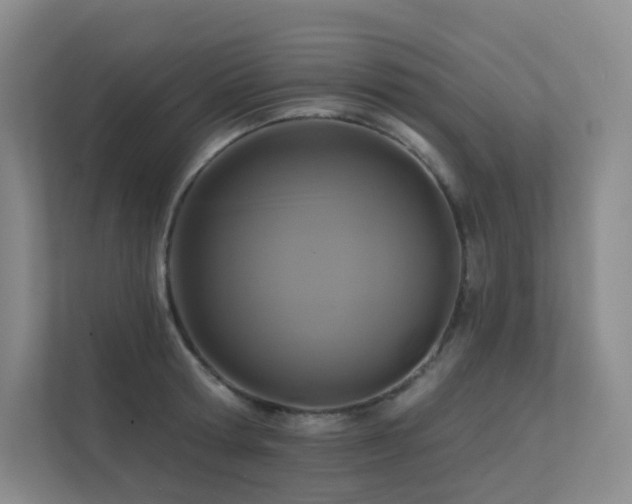 X0000113200802200909101111