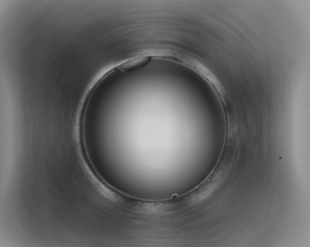 X0000113200803200909101111