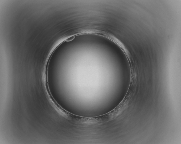 X0000113200811200909101111