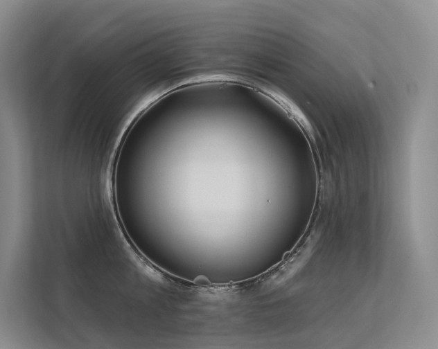 X0000113200813200909101110