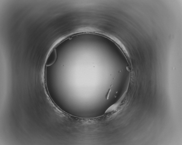 X0000113200815200909101110