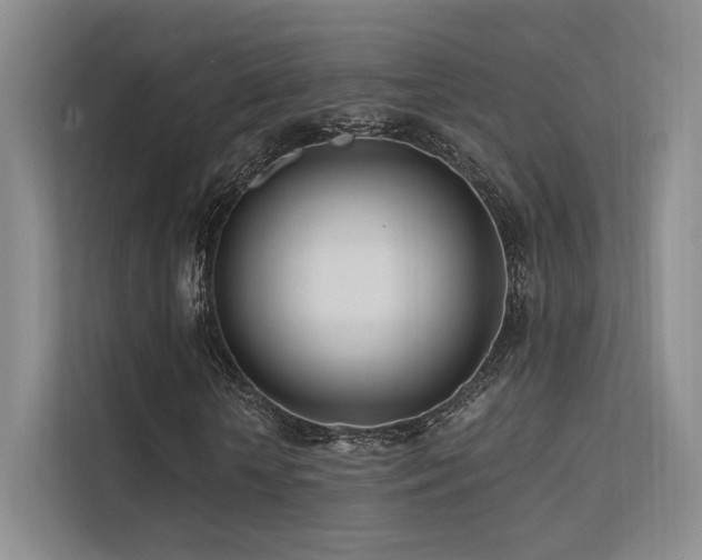 X0000113200818200909101110