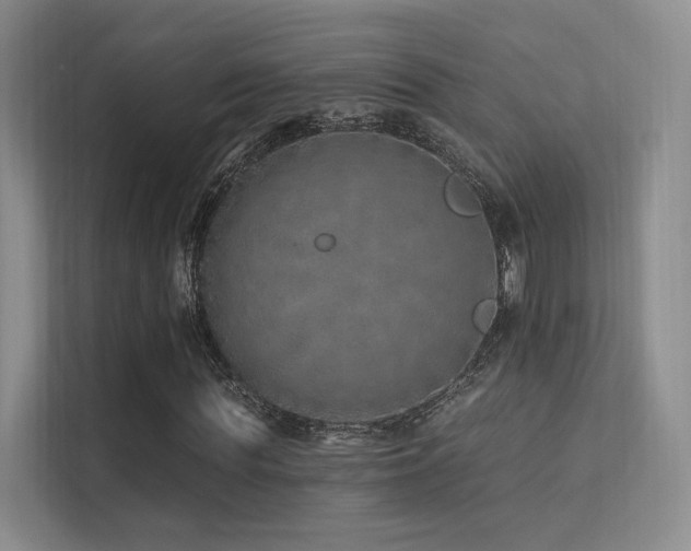 X0000113200819200909101110