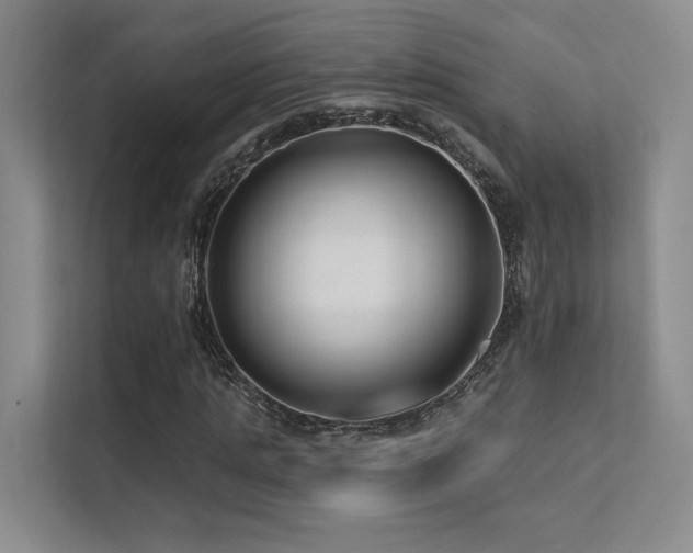 X0000113200821200909101110