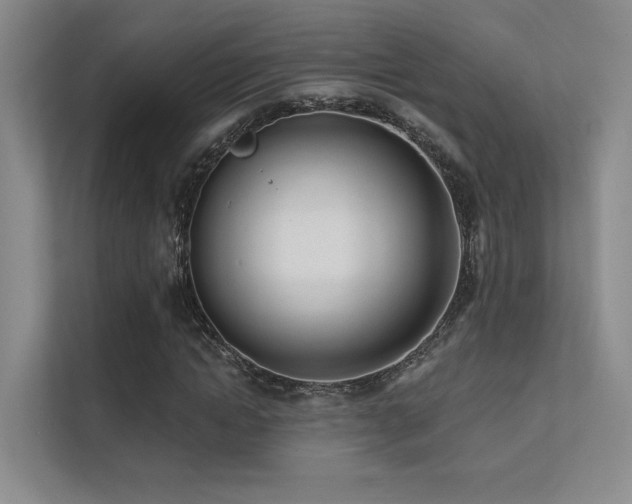 X0000113200822200909101110