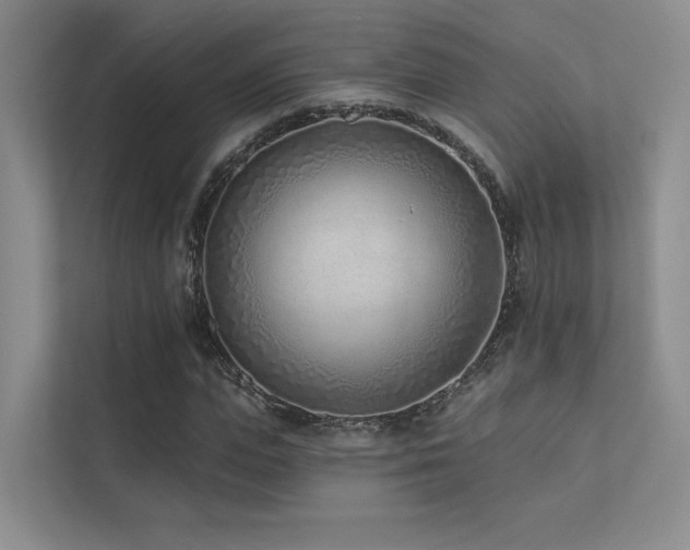 X0000113200823200909101110