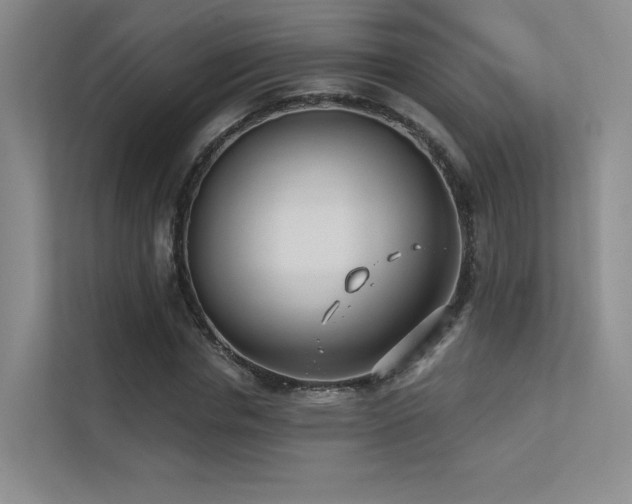 X0000113200826200909101110