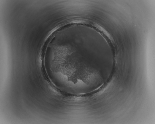 X0000113200829200909101110