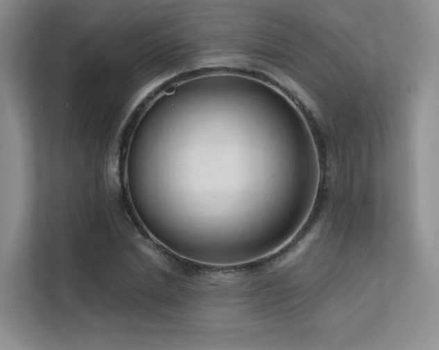 X0000113200830200909101110