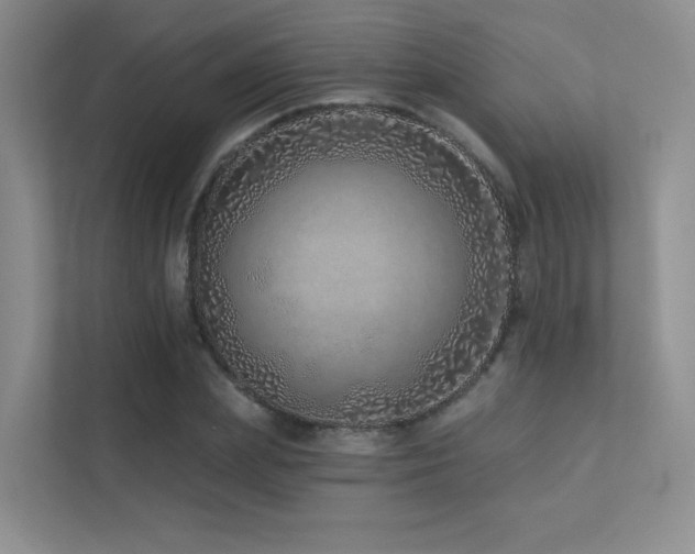 X0000113200831200909101110