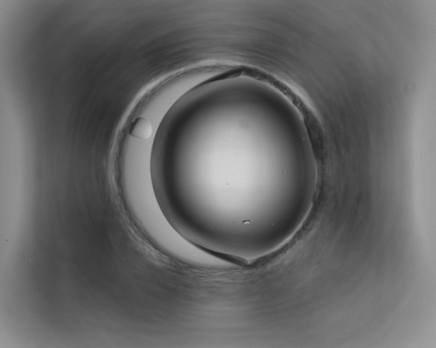 X0000113200832200909101110