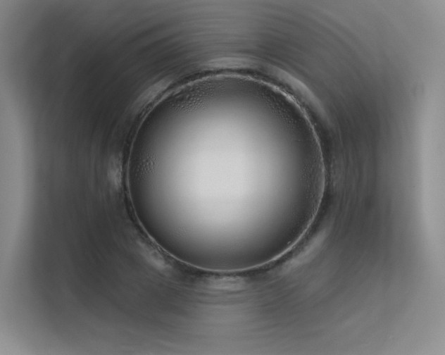 X0000113200833200909101110