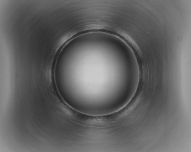 X0000113200834200909101110