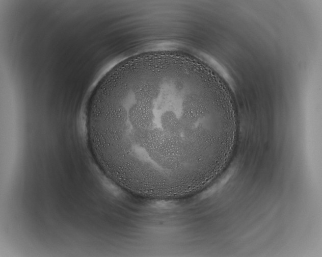 X0000113200835200909101110