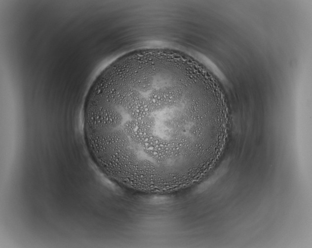 X0000113200839200909101110