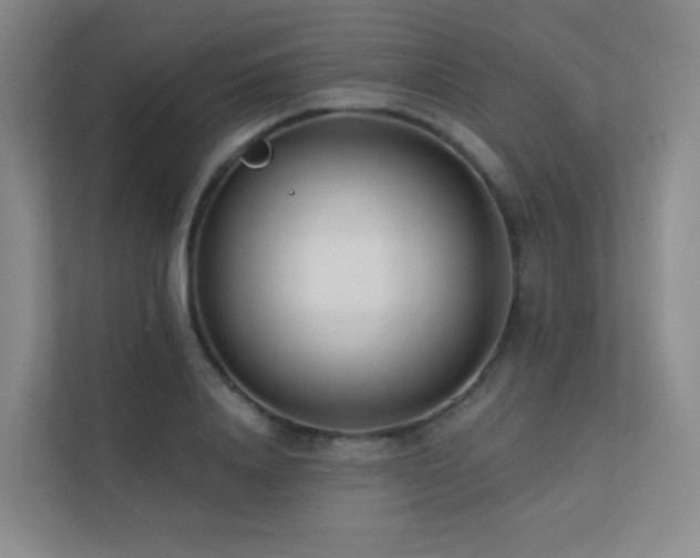 X0000113200840200909101110