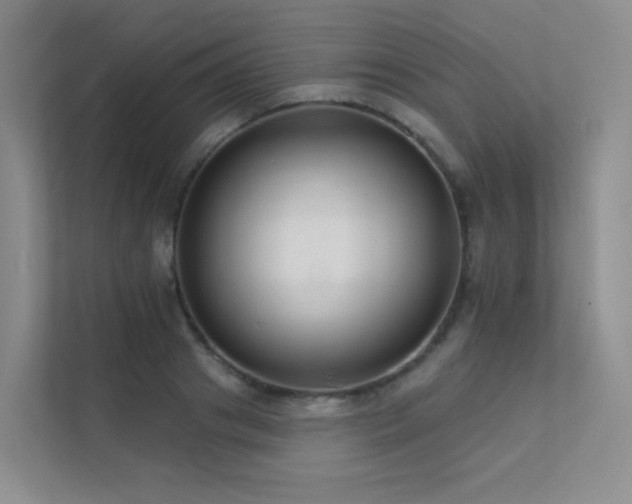 X0000113200841200909101110