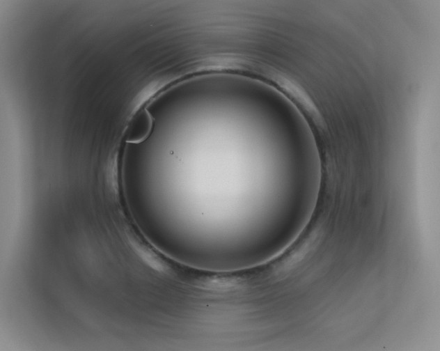 X0000113200842200909101110