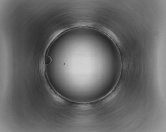 X0000113200844200909101110