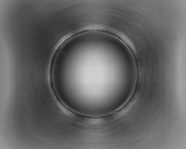 X0000113200845200909101110