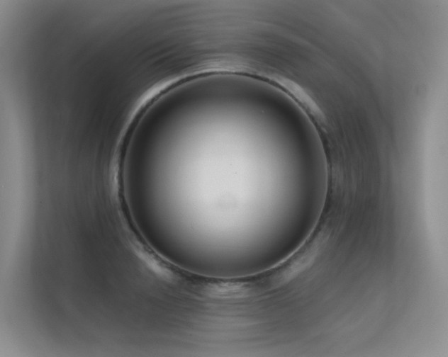 X0000113200846200909101110