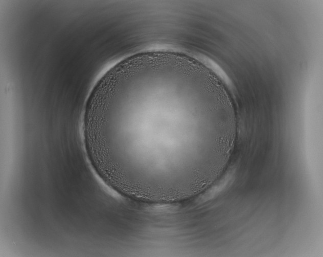 X0000113200847200909101110