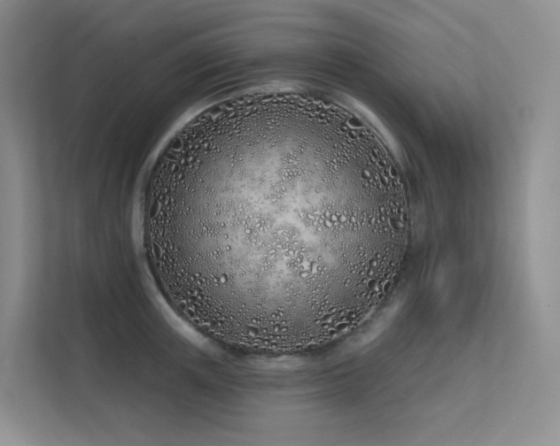 X0000113200851200909101110