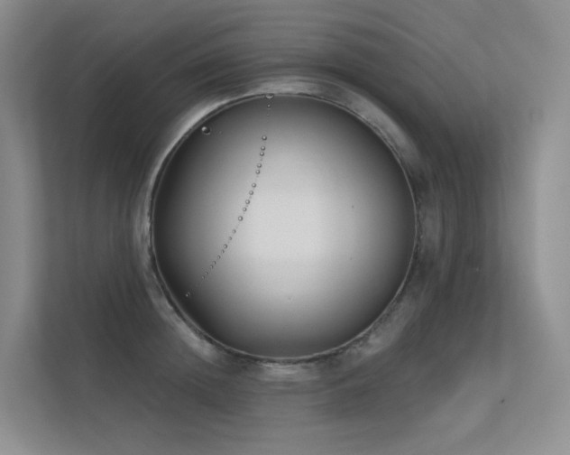 X0000113200852200909101110