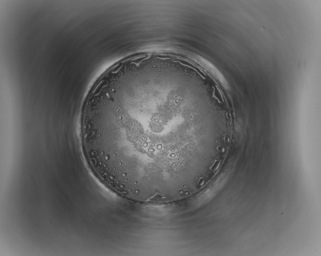 X0000113200855200909101110