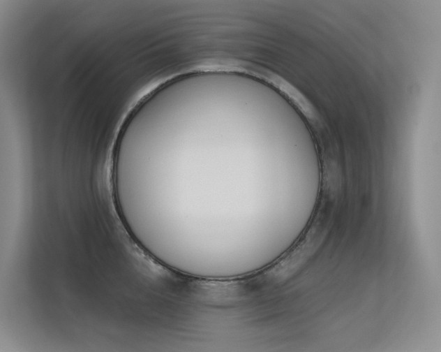 X0000113200856200909101110