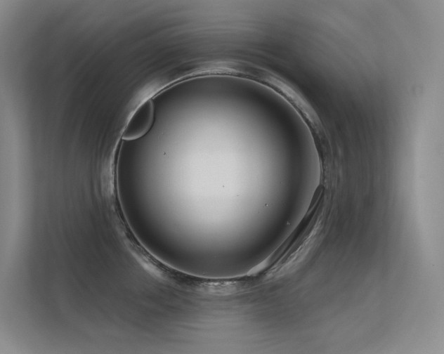 X0000113200858200909101110