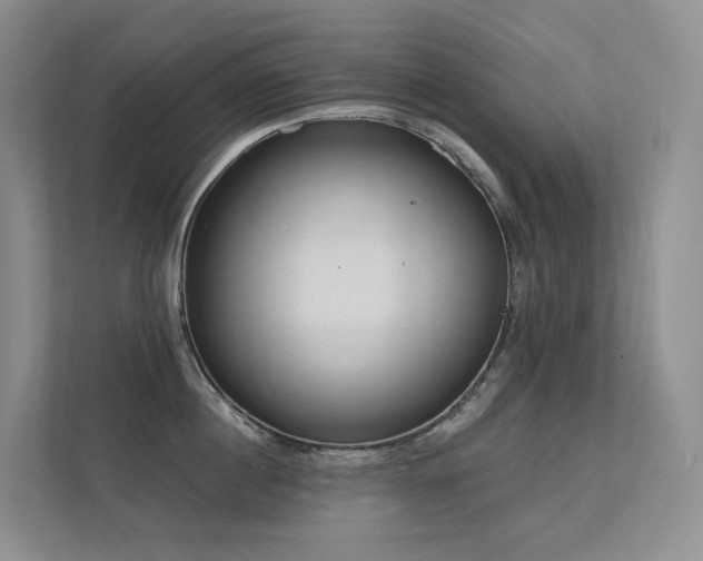 X0000113200860200909101110