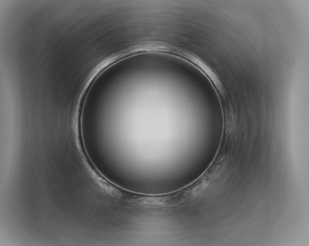 X0000113200861200909101110