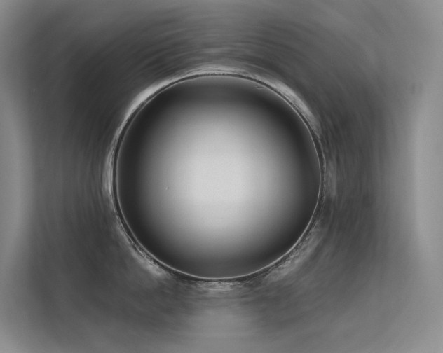 X0000113200862200909101110